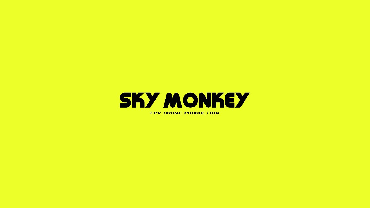 SKY MONKEYの映像サムネイル